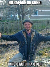 ни корови ни свин¡ тико стал¡н на стол¡