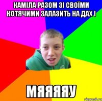 каміла разом зі своїми котячими залазить на дах і мяяяяу