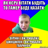 Як кєру вітати будуть то гамер буде казати: "вірних і витривалих шиншилок і витривалих тваринок"