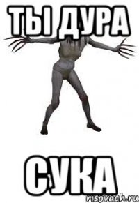 ты дура сука