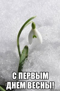  с первым днем весны!