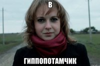 В гиппопотамчик