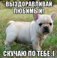Выздоравливай любимый! Скучаю по тебе :(