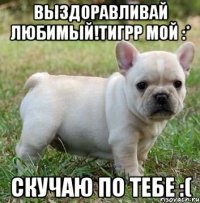 Выздоравливай любимый!тигрр мой :* Скучаю по тебе :(