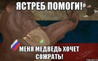 Ястреб помоги! Меня медведь хочет сожрать!