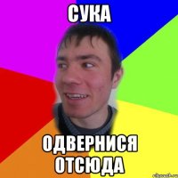 сука одвернися отсюда