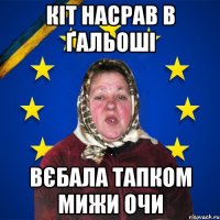 Кіт насрав в ґальоші вєбала тапком мижи очи