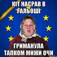Кіт насрав в ґальоші гриманула тапком мижи очи