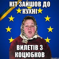 Кіт зайшов до кухні вилетів з коцюбков