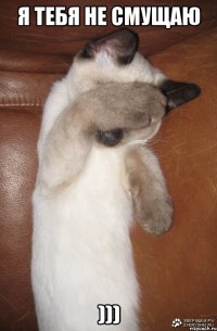я тебя не смущаю )))