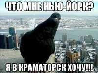 что мне нью-йорк? я в Краматорск хочу!!!