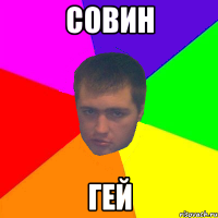 совин гей