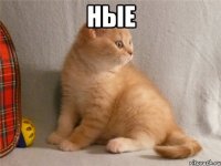 ные 