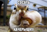 СОСАТЬ КАЧЕРЫШКУ