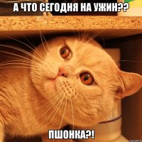 А что сегодня на ужин?? ПШОНКА?!
