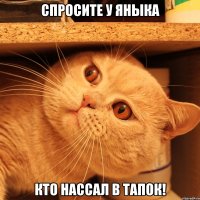 Спросите у Яныка кто нассал в тапок!
