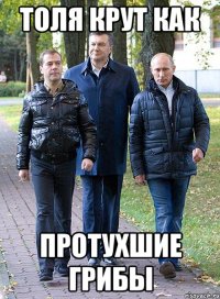 толя крут как протухшие грибы