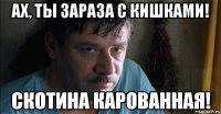 ах, ты зараза с кишками! скотина карованная!