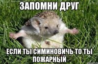 запомни друг если ты симиновичь то ты пожарный