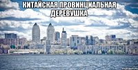 Китайская провинциальная деревушка 