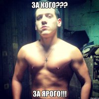 За кого??? За ЯРОГО!!!