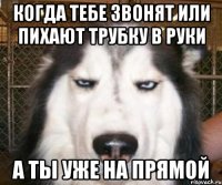 Когда тебе звонят или пихают трубку в руки А ты уже на прямой
