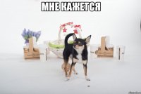 мне кажется 