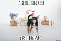 мне кажется ты неправ