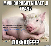 муж зарабатывает ,я трачу лофко???