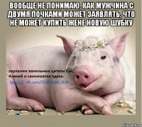 Вообще не понимаю, как мужчина с двумя почками может заявлять, что не может купить жене новую шубку 