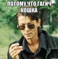 Потому что Гагич кошка 