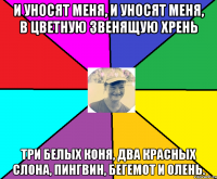 И уносят меня, и уносят меня, в цветную звенящую хрень три белых коня, два красных слона, пингвин, бегемот и олень.
