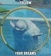 FOLLOW YOUR DREAMS