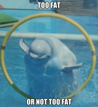 TOO FAT OR NOT TOO FAT