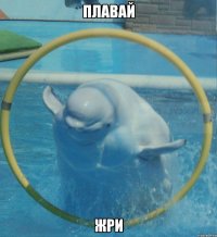 ПЛАВАЙ ЖРИ