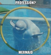 PROFESSION? MERMAID