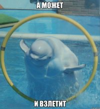 А МОЖЕТ И ВЗЛЕТИТ