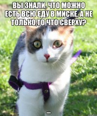 Вы знали, что можно есть всю еду в миске, а не только,то что сверху? ...