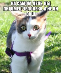 На самом деле, вы питомец человека, а не он ваш ...