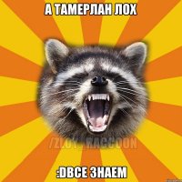 А Тамерлан лох :DВсе знаем