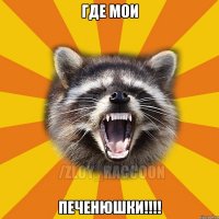 ГДЕ МОИ ПЕЧЕНЮШКИ!!!!