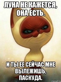 Луна не кажется, она есть. И ты ее сейчас мне вылежишь, паскуда.