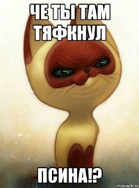 Че ты там тяфкнул псина!?