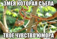 Змея которая съела твоё чувство юмора