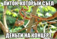 Питон, который съел деньги на концерт