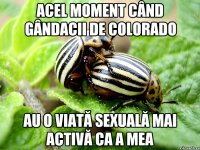 acel moment când gândacii de colorado au o viată sexuală mai activă ca a mea