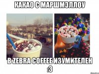 какао с Маршмэллоу в ZEBRA COFFEE изумителен :3