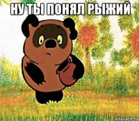 ну ты понял рыжий 
