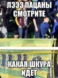 лэээ пацаны смотрите какая шкура идет