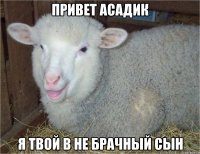 привет асадик я твой в не брачный сын